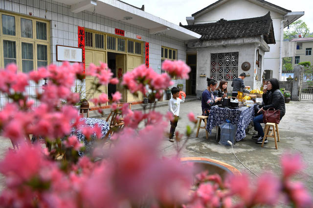 保靖县 湘西 茶农 黄金茶 精准扶贫 带货直播 苗服 茶园 种植业 合作社 苗寨 小康 采茶