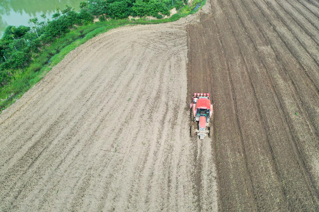 农业  粮油作物  大豆种植  机械化播种  农机手  播种机