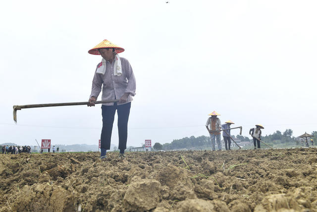 现代农业 脱贫 蔬菜合作社 种植基地 贫困户 小康生活 