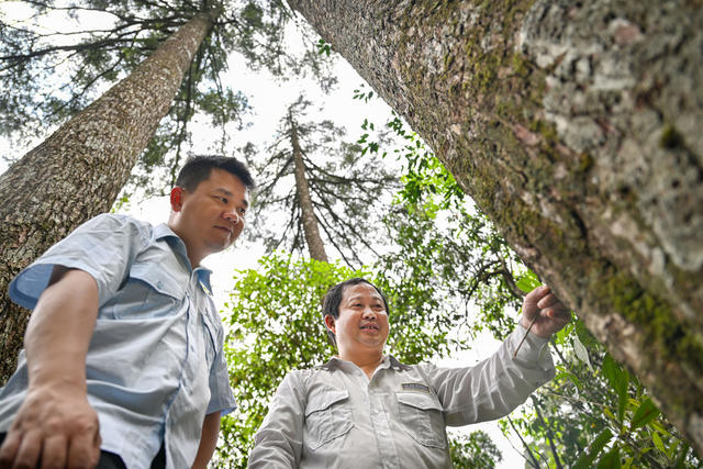 莽山 自然保护区 花博士 鸟博士 监测 野生动植物 生态