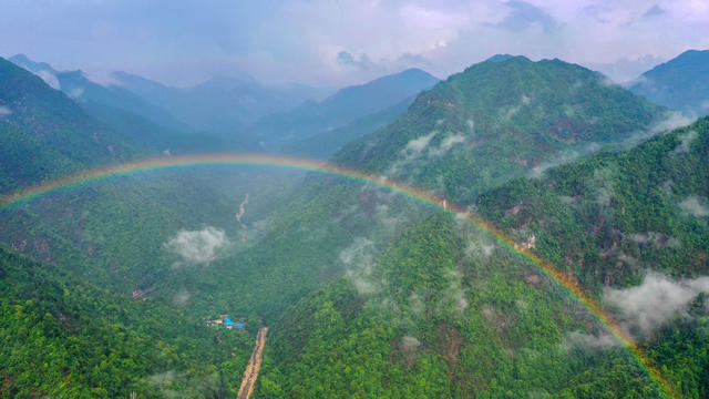 莽山 自然保护区 生态 巡护 蛇博士 