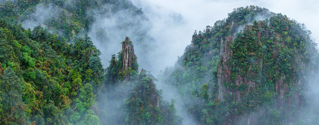 莽山 野生动植物 自然 保护区 生态 景点