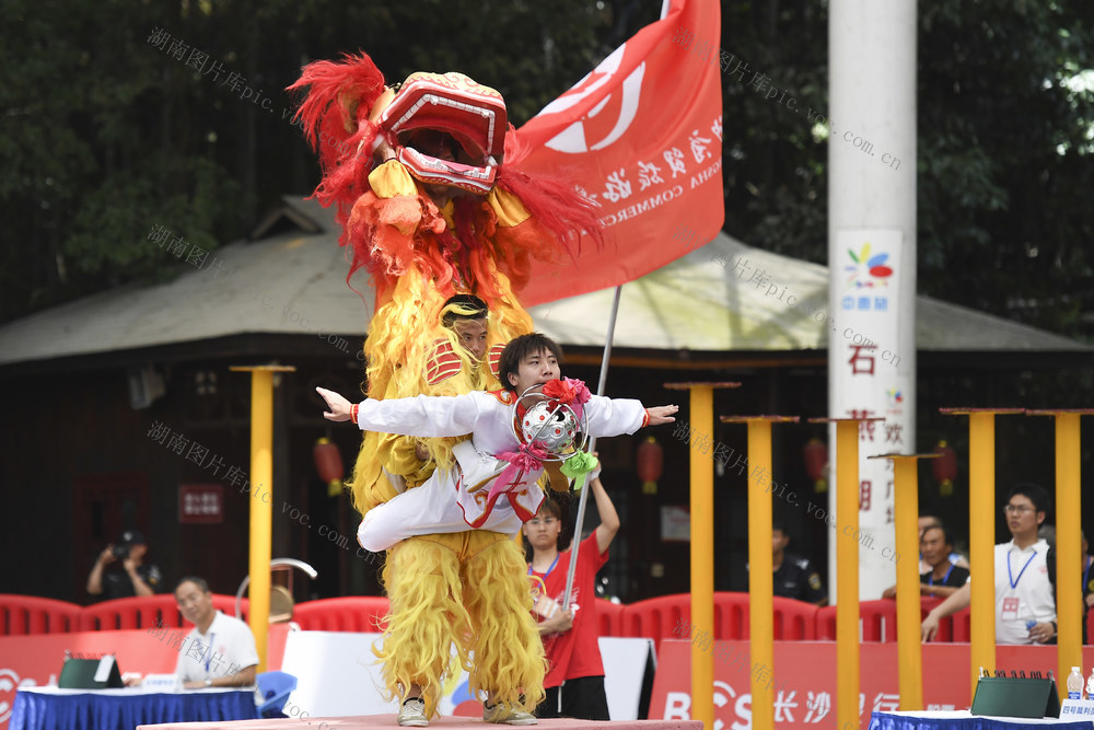 传统体育 舞龙 舞狮 鼓艺 比赛 