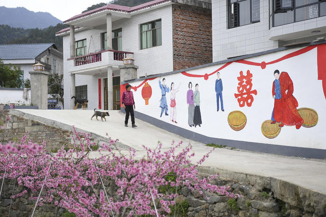 乡村振兴 田园综合体 墙绘艺术 美丽乡村