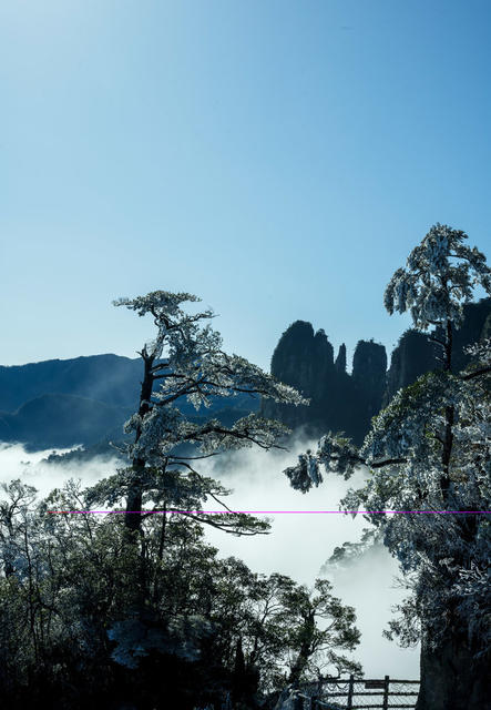自然  风光  云海  雾淞  