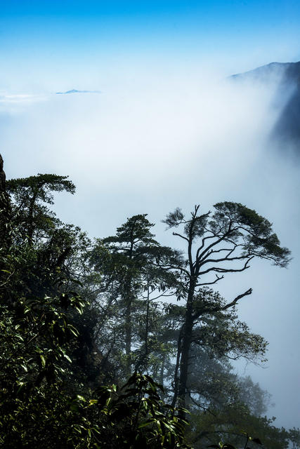 自然  风光  云海  雾淞  