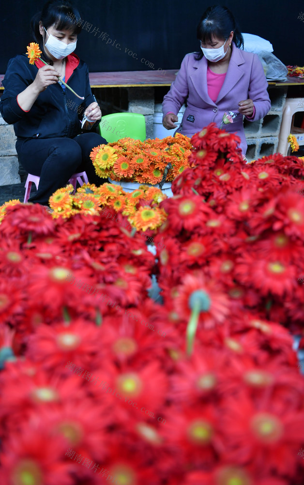  Flowers, flue-cured tobacco, agricultural machinery