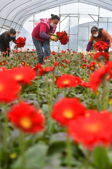 鲜花、烤烟、农机
