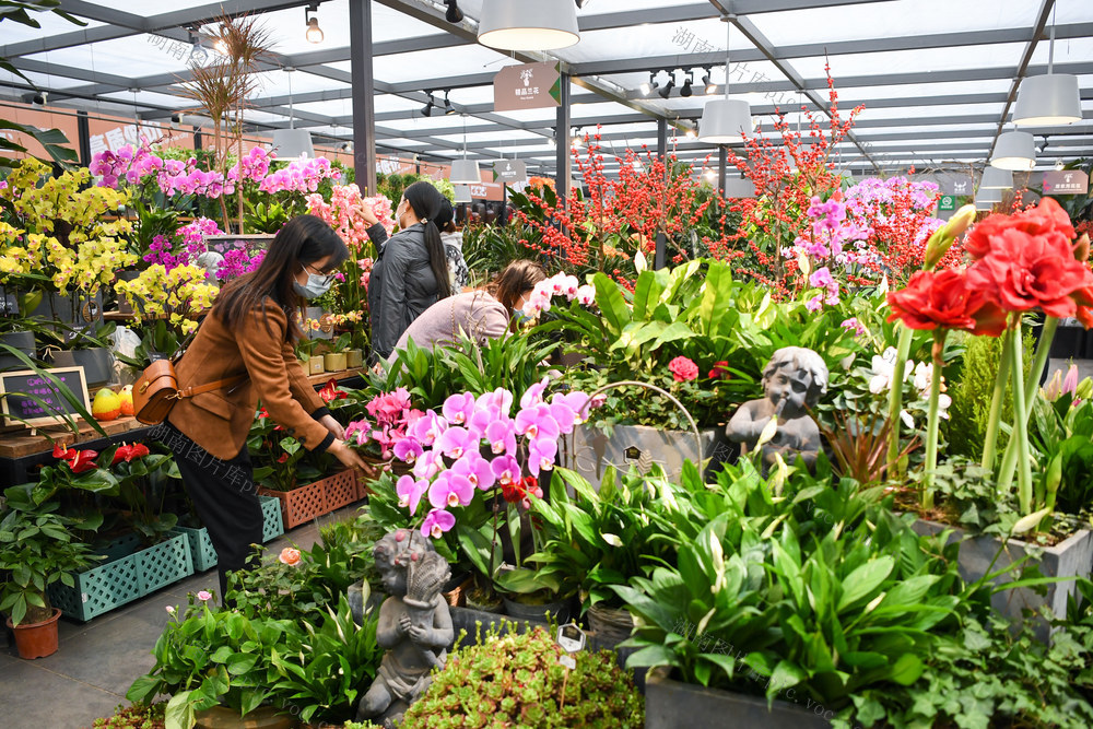 花卉市场 鲜花