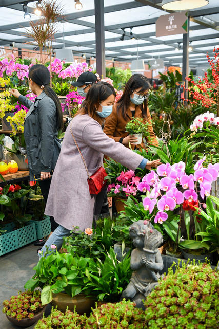 花卉市场 鲜花