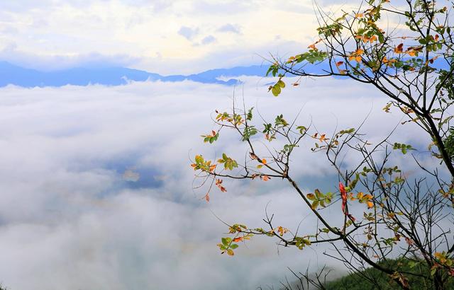 湖南  常宁  乡村  美景