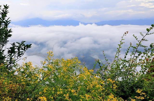 湖南  常宁  乡村  美景