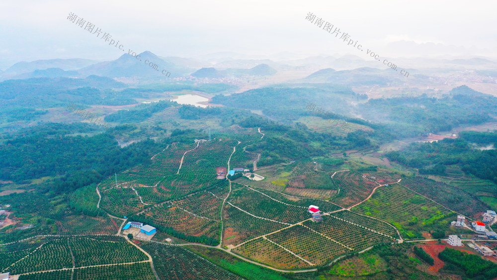 山乡  产业  农业  风景