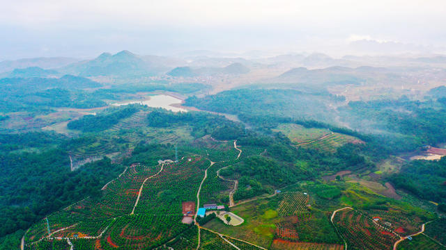 山乡  产业  农业  风景