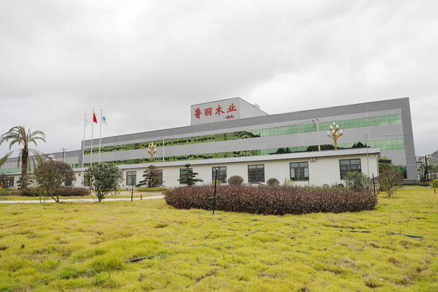 湖南 新田 重点项目 加速推进 鲁丽木业