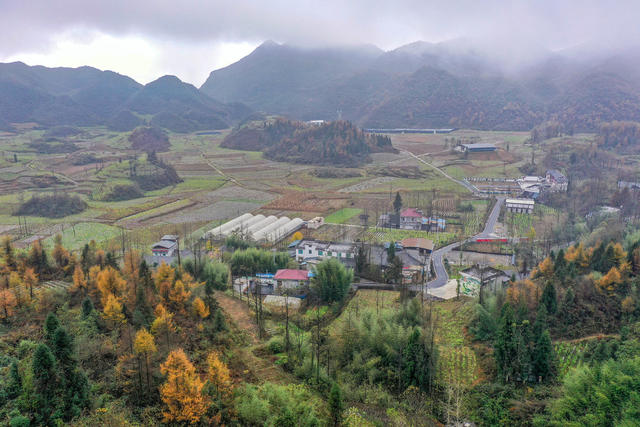 初冬，美景，色彩，村庄，如画