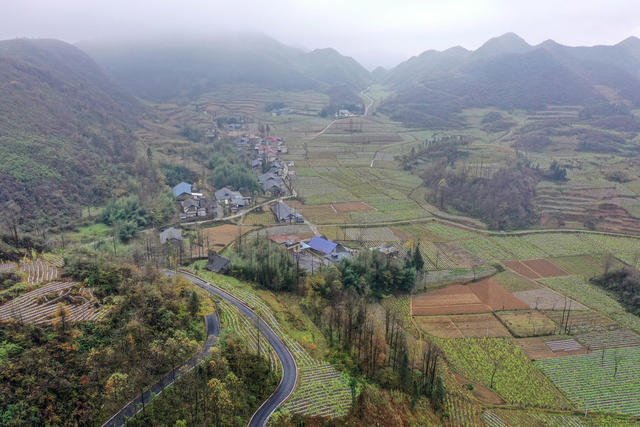 初冬，美景，色彩，村庄，如画