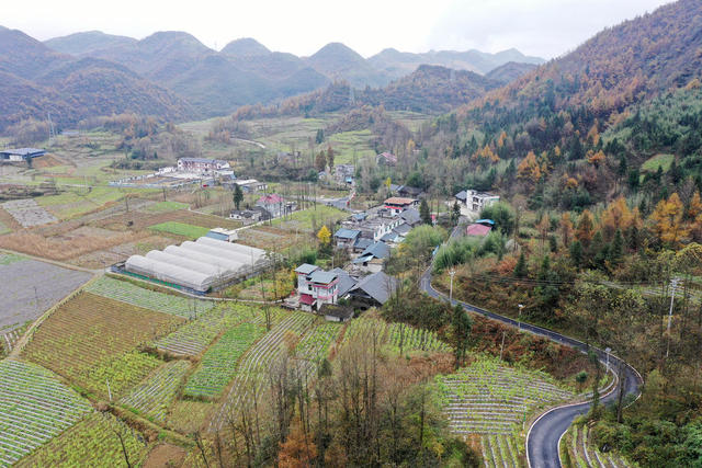 初冬，美景，色彩，村庄，如画