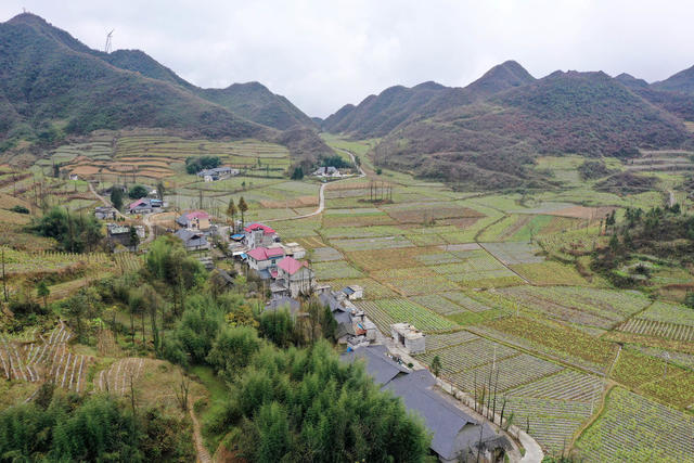 初冬，美景，色彩，村庄，如画