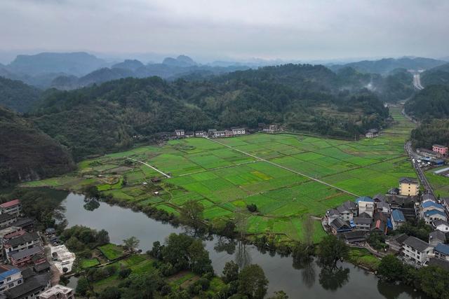 生态 产业 田园风光 绿色 乡村