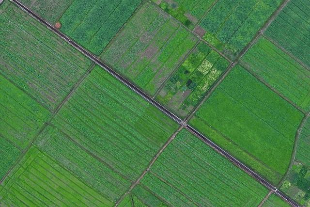 生态 产业 田园风光 绿色 乡村