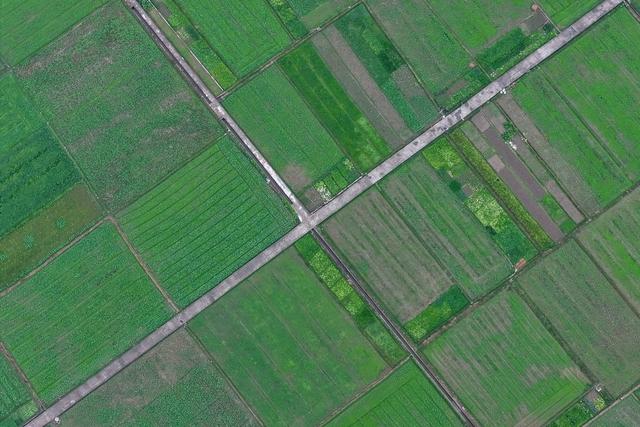 生态 产业 田园风光 绿色 乡村