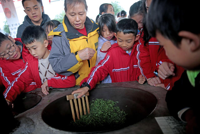 湖南郴州 教育 研学 茶 德智体美劳 玲珑王