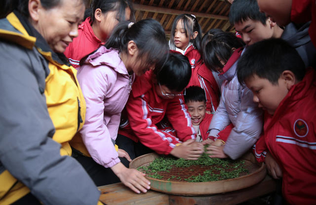 湖南郴州 教育 研学 茶 德智体美劳 玲珑王