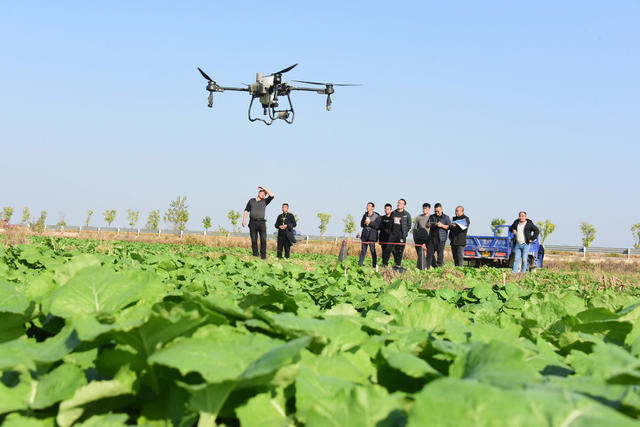 农业  高素质农民培育  智慧农业  植保无人机   操作竞赛