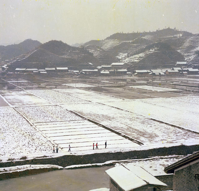 田野 田园