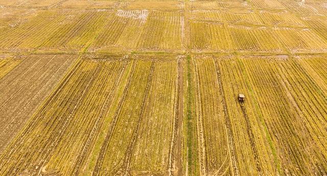 农业、立冬、备耕