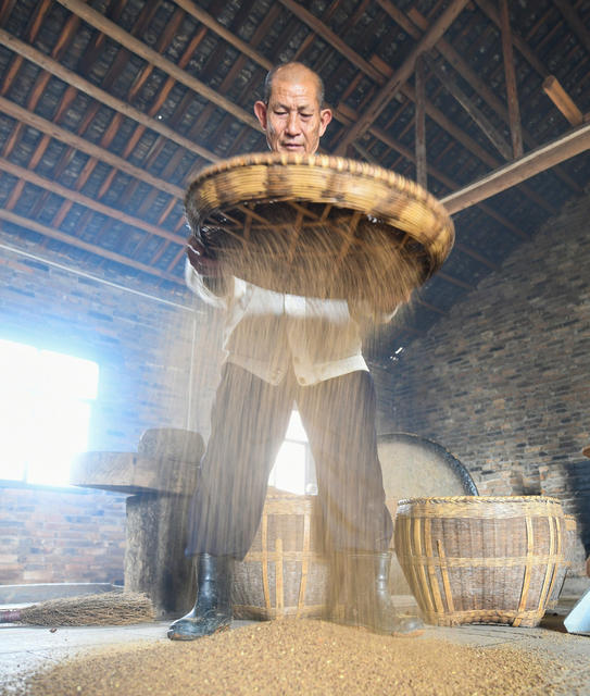 土法 榨茶油  产业 油茶产业 道县