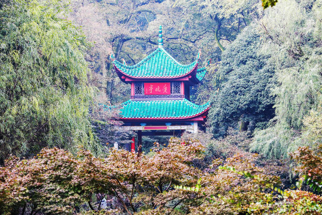 岳麓山，爱晚亭，游人如织