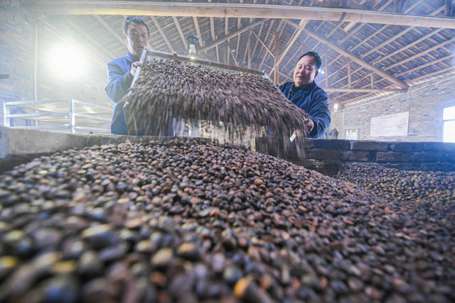 土法 榨茶油  产业 油茶产业 道县