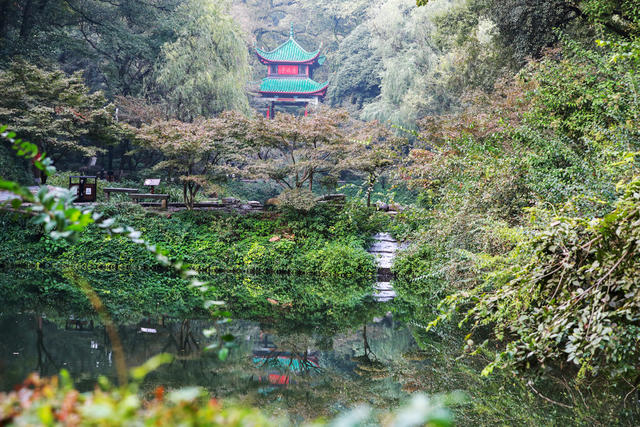 岳麓山，爱晚亭，游人如织