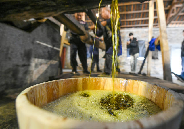 土法 榨茶油  产业 油茶产业 道县