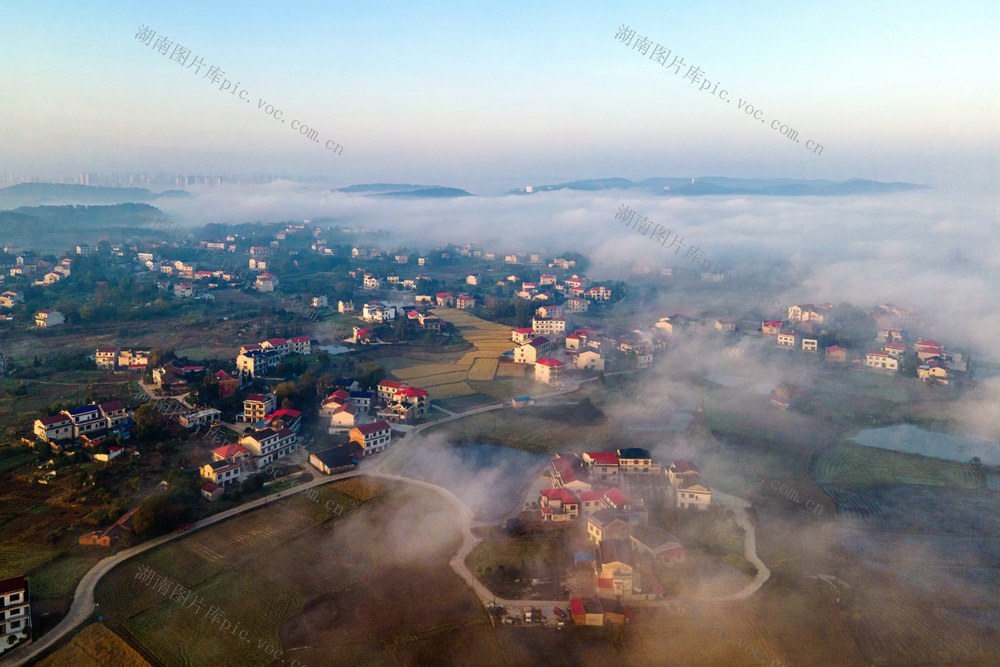 冬日  晨雾  自然  环境  生态  乡村  城市