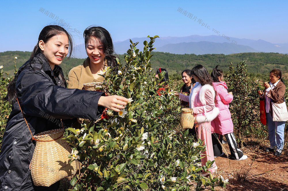 临武县旅游