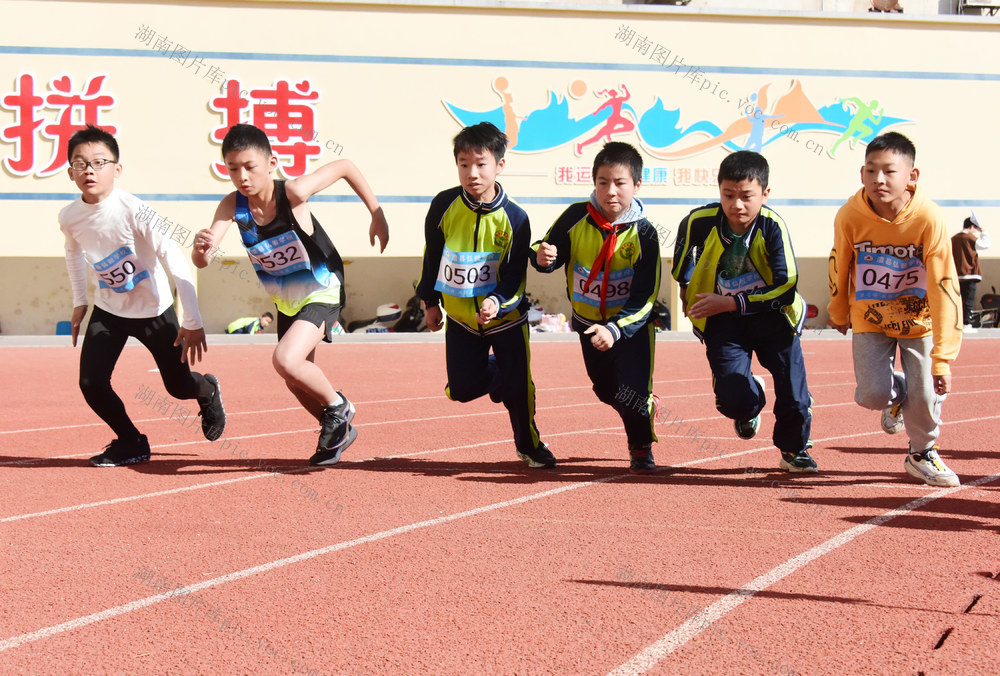 教育  小学生  体育   田径   运动会  