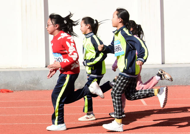 教育  小学生  体育   田径   运动会  