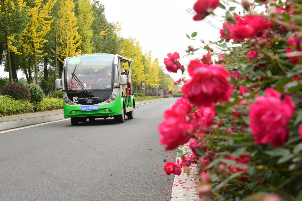 旅游  城头山  国家考古遗址公园  初冬时节  双休日  晴好天气  游客