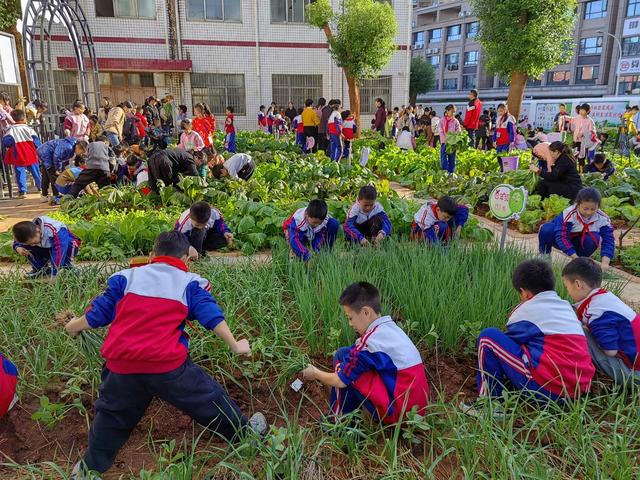  宁远县实验小学 蔬菜售卖展销