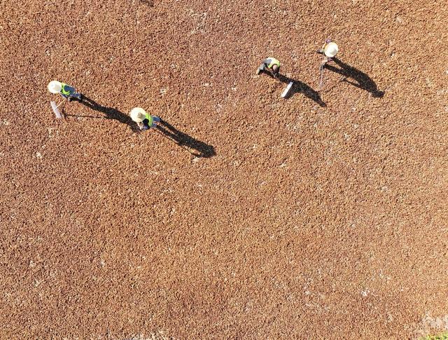 油茶 产业 乡村振兴 道县