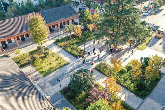 植物园 生态公园 生态环境 休闲 暖阳 绿地 初冬