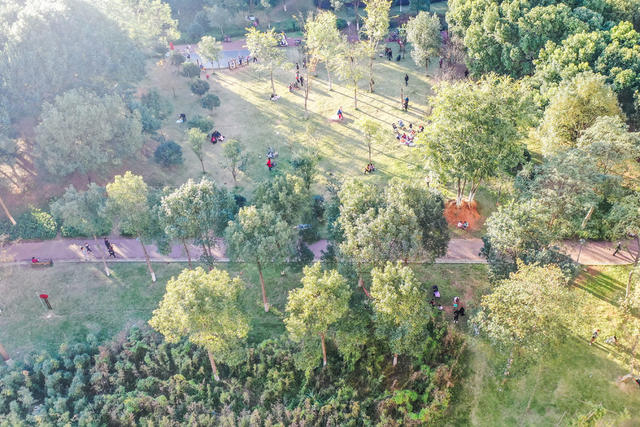 植物园 生态公园 生态环境 休闲 暖阳 绿地 初冬