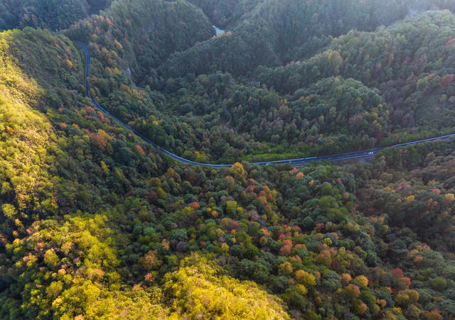 秋色，公路，自然保护区
