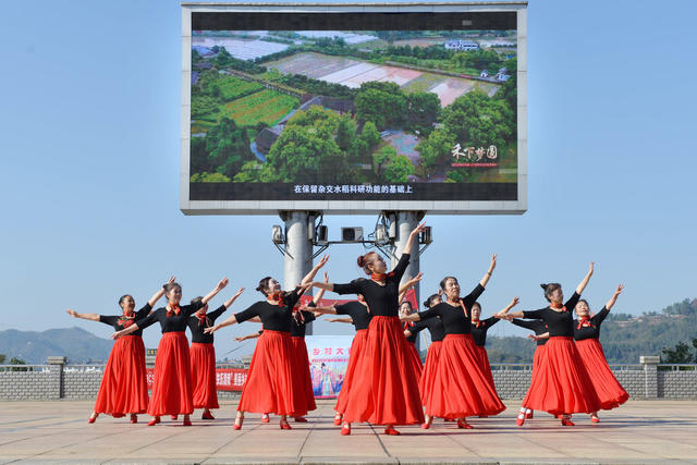 绽放夕阳忆芳华