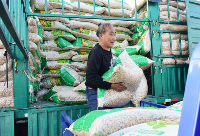 冬闲时节  生活习惯  零食消费  花生  市场