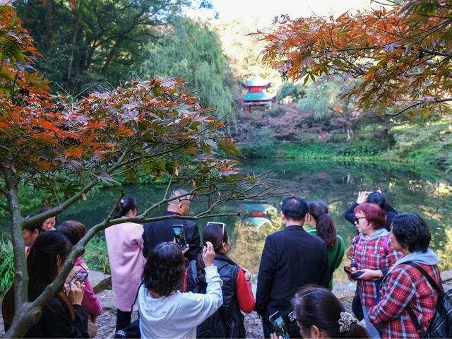 岳麓山，爱晚亭，游人如织