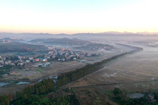 乡村  田野  风景  风光  旅游  冬日  画卷  乡村振兴